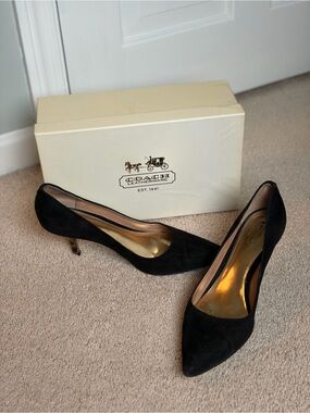 Coach Zoee Suede Pointed Pumps in Black with Gold Insole